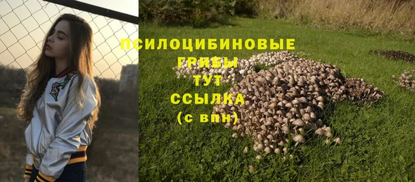 метадон Заводоуковск