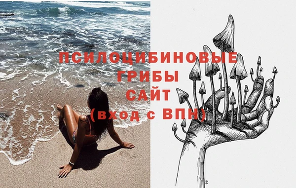 первитин Ельня