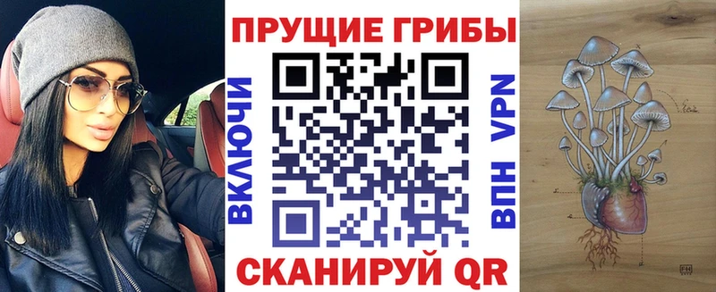 Галлюциногенные грибы прущие грибы  Купить где  Никольское 